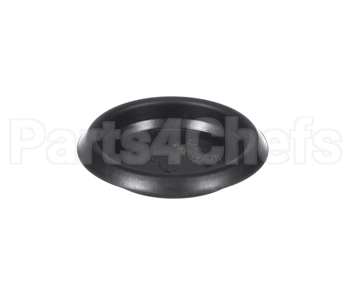 9456-041-007 Dexter Plug