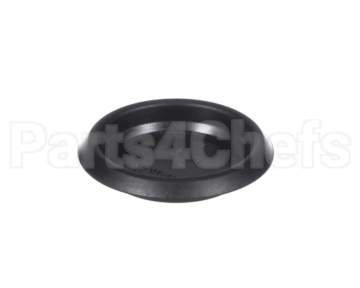 9456-041-007 Dexter Plug
