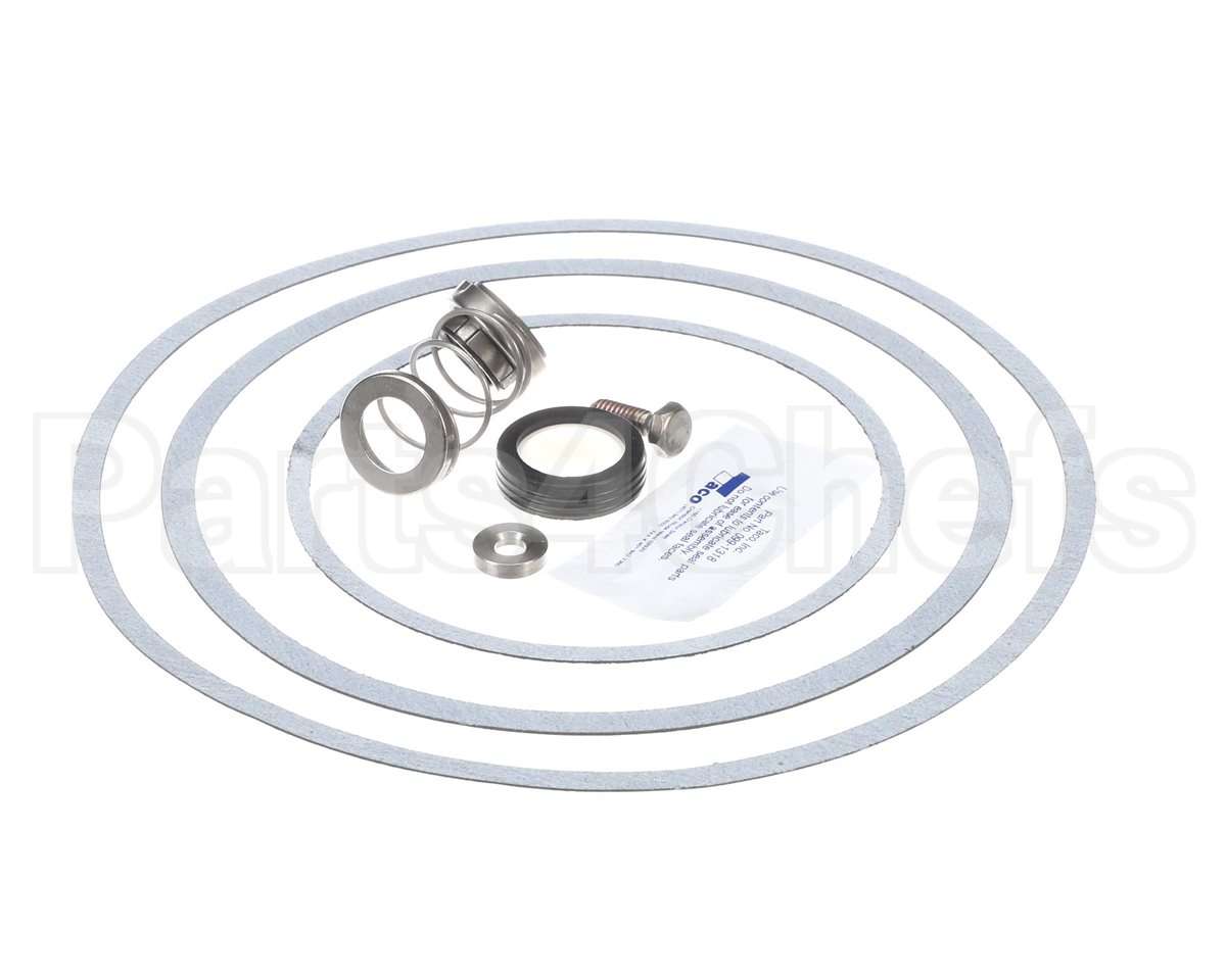 950388F Raypak Pump Seal