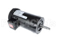 96020045 Jackson Motor, Wash, 2Hp, 3Ph