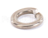 962-13 Globe Lock Washer