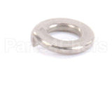 962-16 Globe Lockwasher Ss