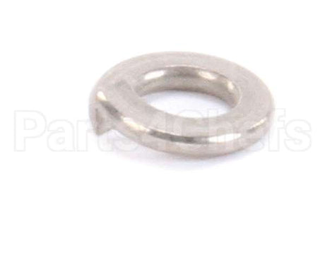 962-16 Globe Lockwasher Ss