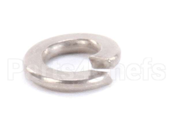 962-16 Globe Lockwasher Ss