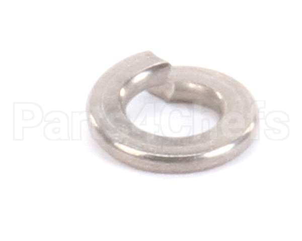 962-16 Globe Lockwasher Ss