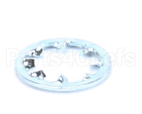 962-19 Globe Lockwasher Ss Int Tooth