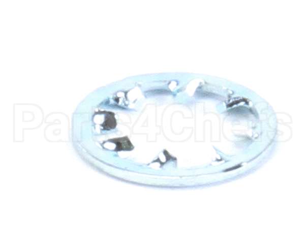 962-19 Globe Lockwasher Ss Int Tooth