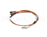 9627-800-001 Dexter Harnessp. Switch