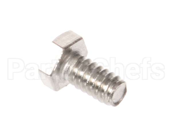 975-1 Globe Screw, Motor Shell S.s.