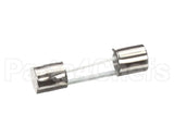 976149 Vacmaster Fuse