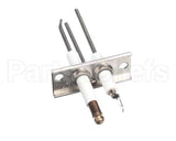9875-002-003 Dexter Electrode