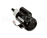 99-16475 Hardt Recirculation Pump 100-130V Assembly Inf