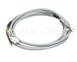 994390 American Panel Renau Long Cable 2.5M