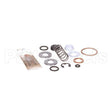 99SKIT-SV Compatible Rancilio Rebuild Kit