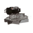 A03003 Equipex Motor 120V