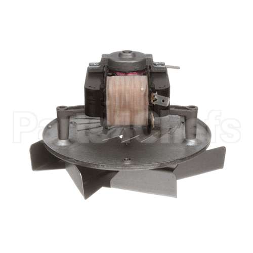 A03003 Equipex Motor 120V