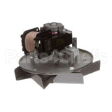 A03003 Equipex Motor 120V