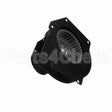 A064 Fasco Motor