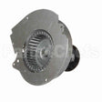 A200 Fasco Motor