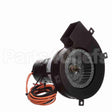 A221 Fasco Motor