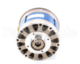 A260 Globe Motor