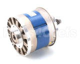 A260 Globe Motor