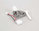 A33101-022 Scotsman Thermo Probe Service