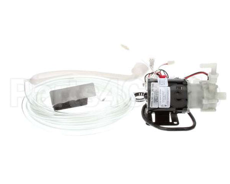 A39462-021 Scotsman Kit-Drain Pump Service