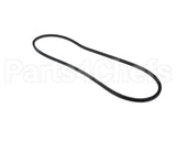 A50 Bryant Payne Belt