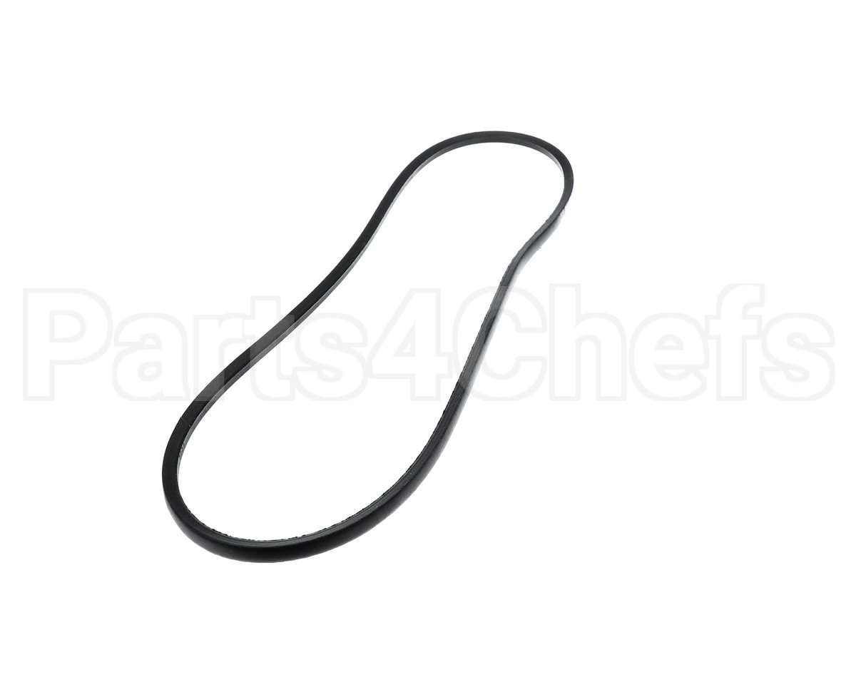A50 Bryant Payne Belt