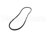 A50 Bryant Payne Belt