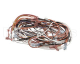 A550-167 Grindmaster Cecilware Starbucks Wire Harness For
