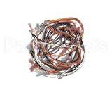 A550-167 Grindmaster Cecilware Starbucks Wire Harness For