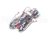 A550-277 Grindmaster Cecilware Harness Pb-430 Main Low Volt
