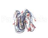 A550-277 Grindmaster Cecilware Harness Pb-430 Main Low Volt