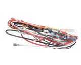 A71971 Grindmaster Cecilware Wire Harness