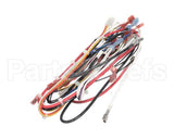 A71971 Grindmaster Cecilware Wire Harness