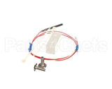 AN55017600 Bki Assembly, Temp Probe, Vgg, Small Diamete