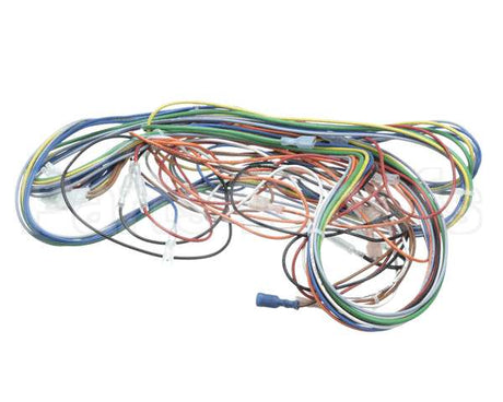 AR60-542.1 Varimixer Wire Harness