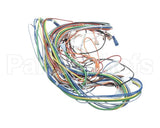 AR60-542.1 Varimixer Wire Harness