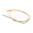 AS-1400120 Compatible Apw Probe, Rtd Convection Oven