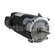 AST095 US Motors Nidec Pool And Spa Pump Motor