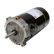 AST125 US Motors Nidec Pool And Spa Pump Motor