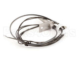 AT0A-3519-2 Accutemp Evolution Electric Reed Switch & Wire Ha
