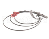 AT0A-3519-3 Accutemp Evolution Gas Reed Switch & Wire Harness