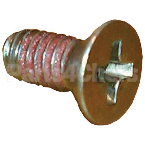 AT0F-3827-30031 Compatible Accutemp Screw