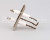 AT1E-3795 Accutemp Electrode Assembly - Evolution Gas
