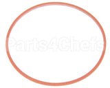 AT1G-4158-1 Accutemp Gast Cylinder Oring
