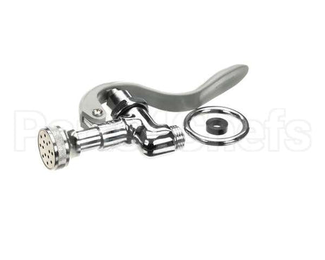 B-0107-B T&S Brass Spray Valve Unit With Rose Spray Aerator