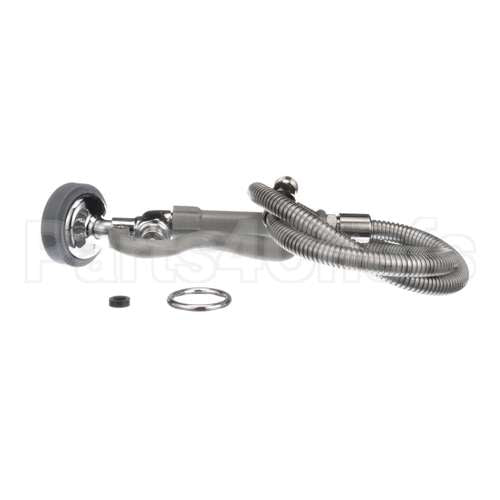 B-0950 T&S Brass Spray Assembly, 44 Flex Stainless Steel